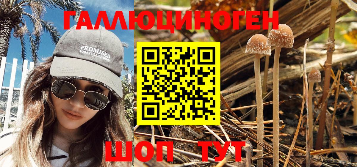 Псилоцибиновые грибы MAGIC MUSHROOMS  Вход с VPN  Калуга 