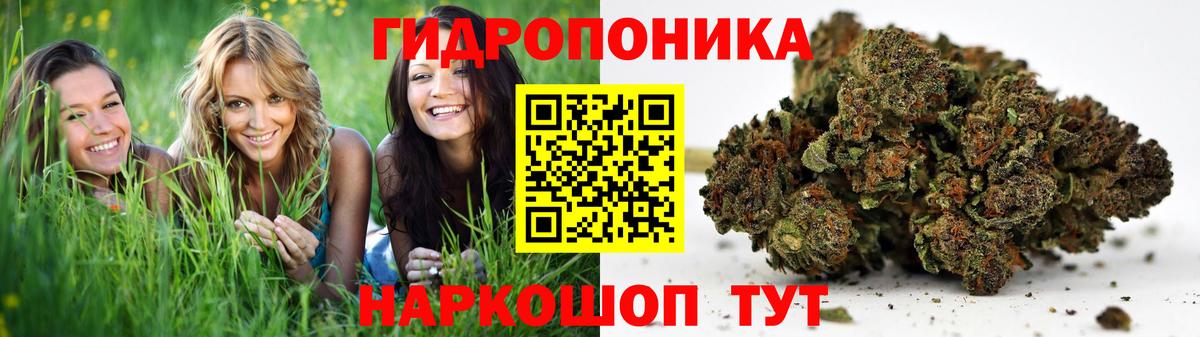 Марихуана план Калуга